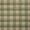 green and white plaid swatch